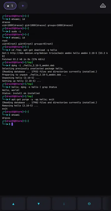 sudo -i root shell installing a .deb package with dpkg